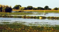 Bangweulu Wetlands